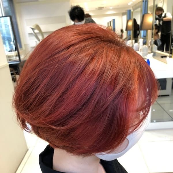 ボルドーレッドショート