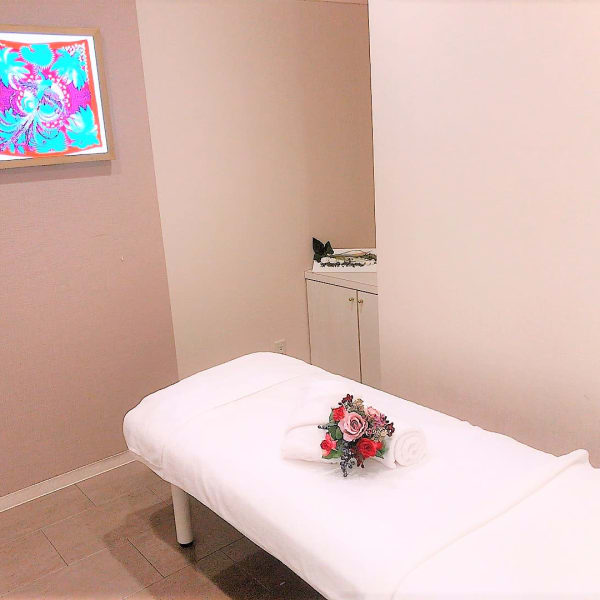 SALONIMAGE➂|【本格痩身専門店◇骨盤ダイエット】スリムビューティハウス 徳島クレメントプラザ店
