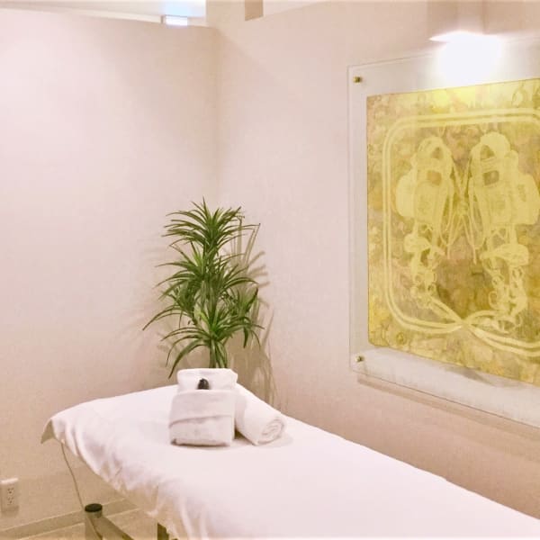 SALONIMAGE➂|【本格痩身専門店◇骨盤ダイエット】スリムビューティハウス 吉祥寺店