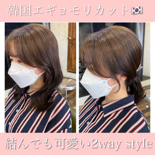 韓国フェザーバング