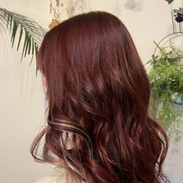 エクステインナー×チェリーブラウン