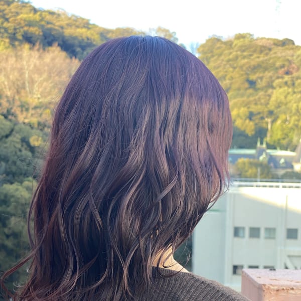 チェリーラベンダー