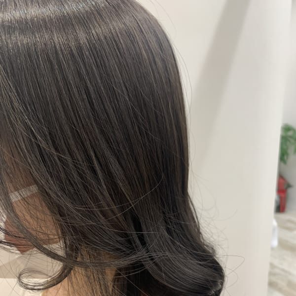 レディースカラー ツヤグレージュ|髪質改善 個室美容室 liesta salon