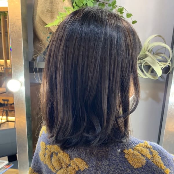 セミディラベンダー