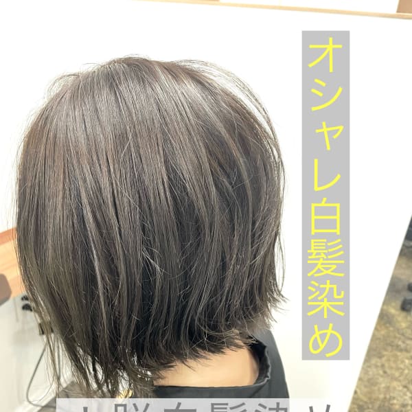 おしゃれ白髪染め☆脱白髪染め☆|SUNS