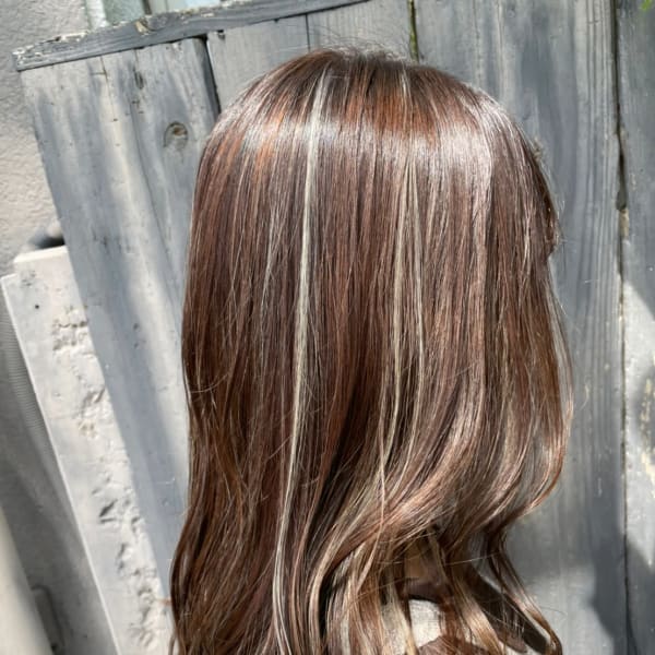 ハイライト|Charites