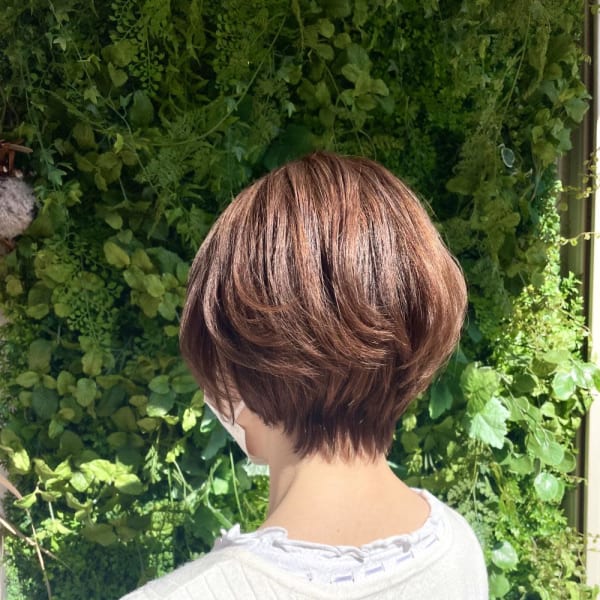 エレガントショート