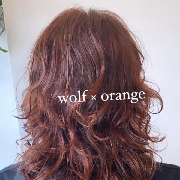 wolf × perm