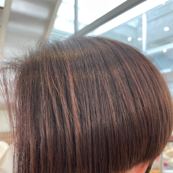 ショートグラボヴ