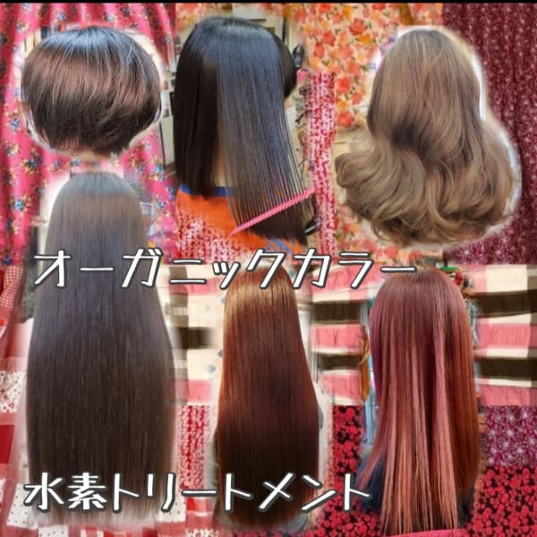 植物性オーガニックカラーでツヤサラになりましょう