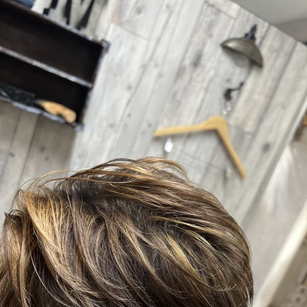 メッシュカラー