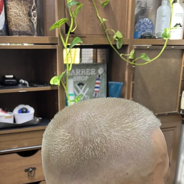 ボウズ・フェードカット・ダブルカラー