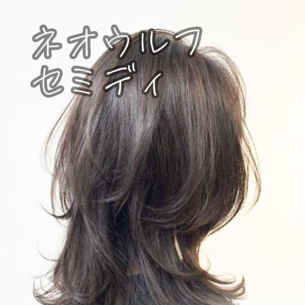 ネオウルフセミディ☆銀座/東京駅