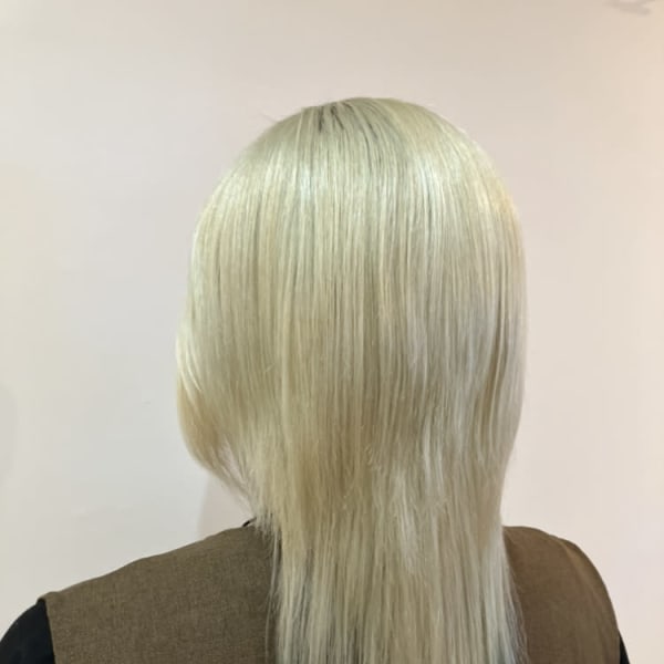 RADISSON KASHI×ミディアム