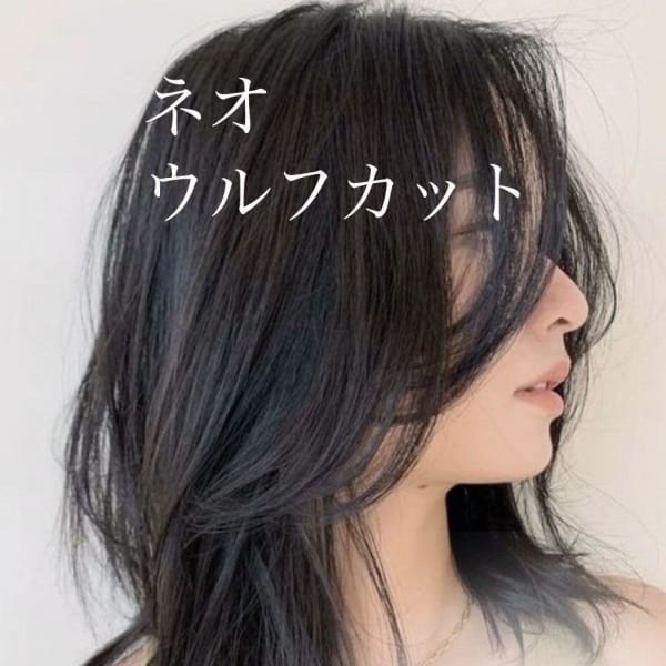 ネオウルフロブ☆銀座/東京駅