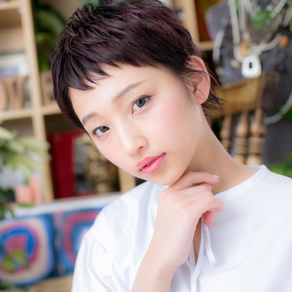 小顔黒髪大人かわいい韓国風マッシュウルフ 耳だしショート