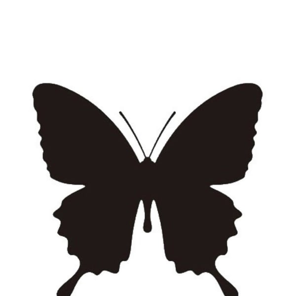 Total Beauty Relax Butterfly【トータルビューティーリラックスバタフライ】のスタッフ紹介。タナカ フカワ