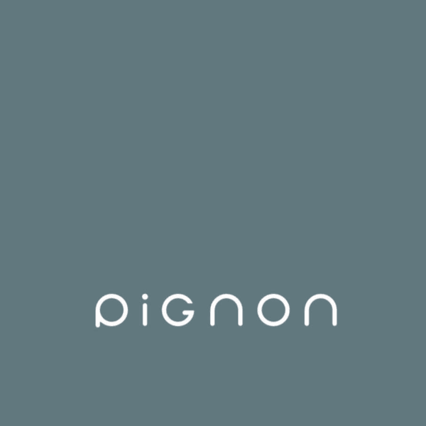 pignon