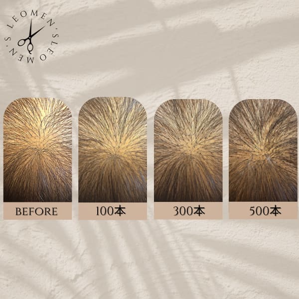増毛エクステ本数サンプル