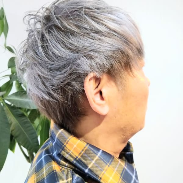シルバーヘアー