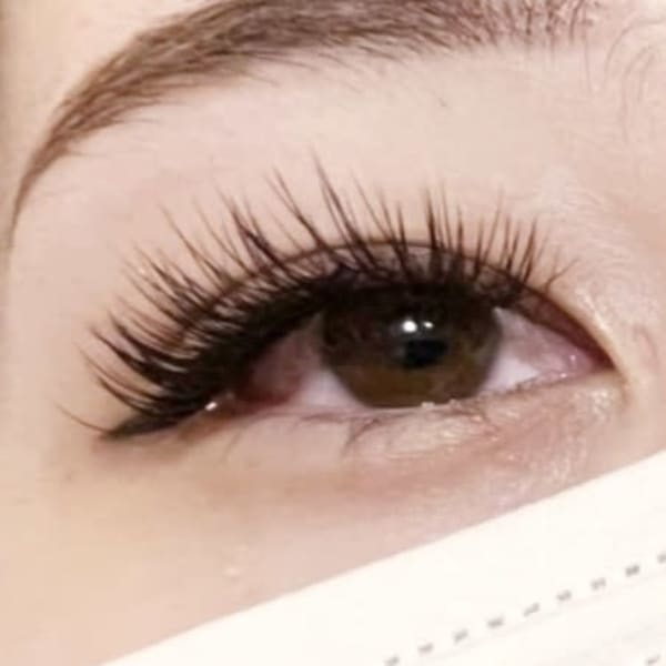 セーブル　グラマラスキュートデザイン