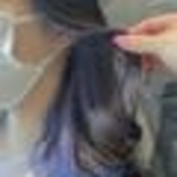 ブルーバイオレット