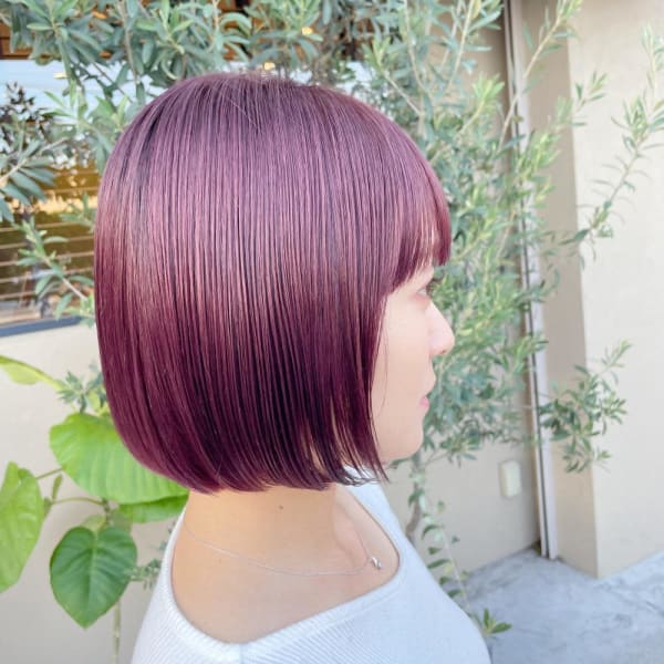 カシスバイオレット