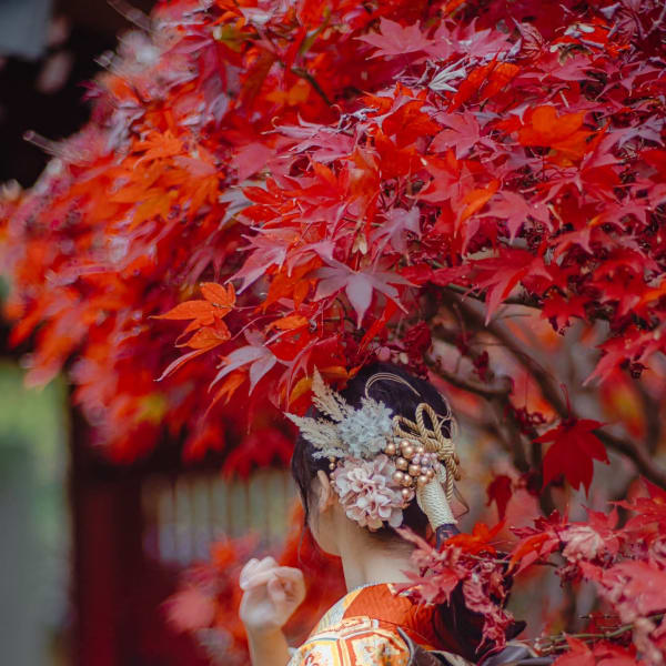 れんたる着物花奈×ロング