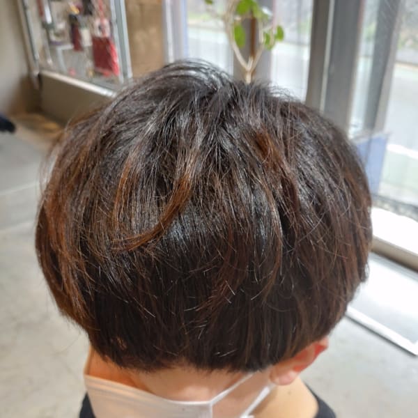 SCHERE ZACK ×ショート