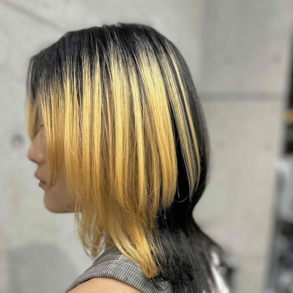 ウルフ/ミディアム