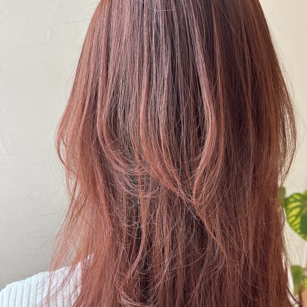 オレンジカラー|LBL