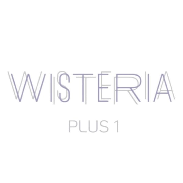 WISTERIA PLUS1 銀座一丁目【ウィステリア プラスワン】【ウィステリアプラスワン】のスタッフ紹介。指名なし