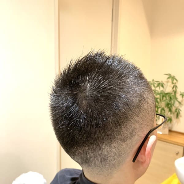 ソフモヒ|TOMOYUKI WORKS