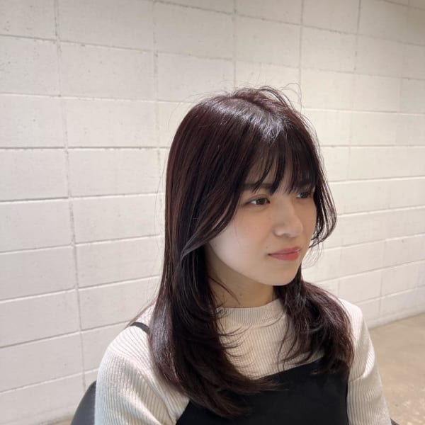 レイヤー