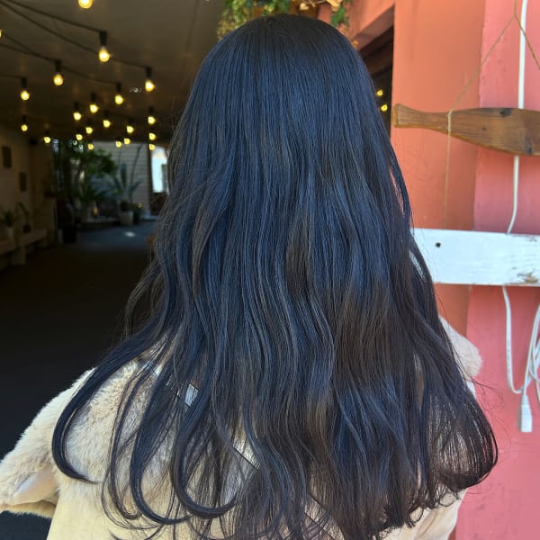 ローレイヤー×Black color|TERRACE GRACE