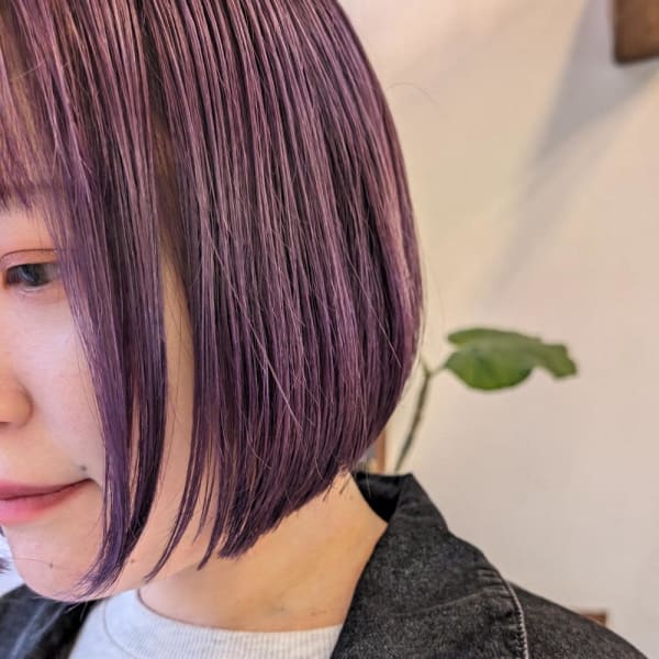 ラベンダーボブ