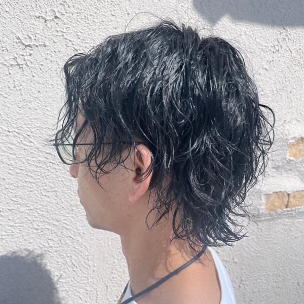 ミディアムウルフ|alpina 上小塙店