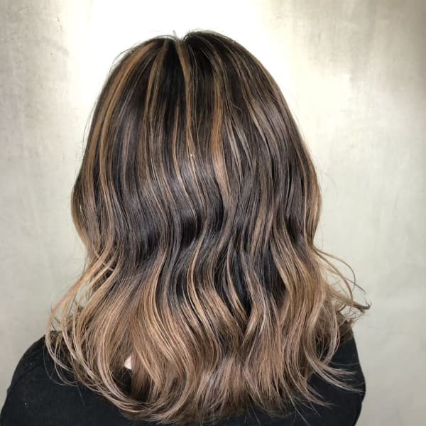 ハイライトミディ