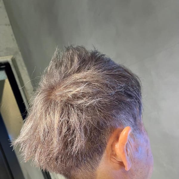 シルバーグレイ/グレイ/シルバー/白髪ぼかし