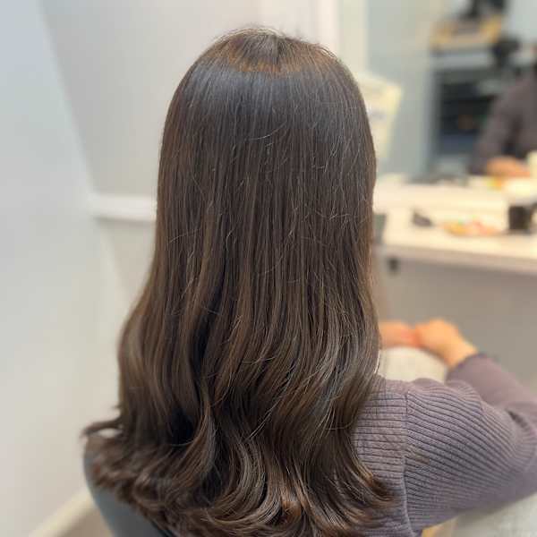 【銀座・新橋・有楽町】WISTERIA PLUS1 銀座一丁