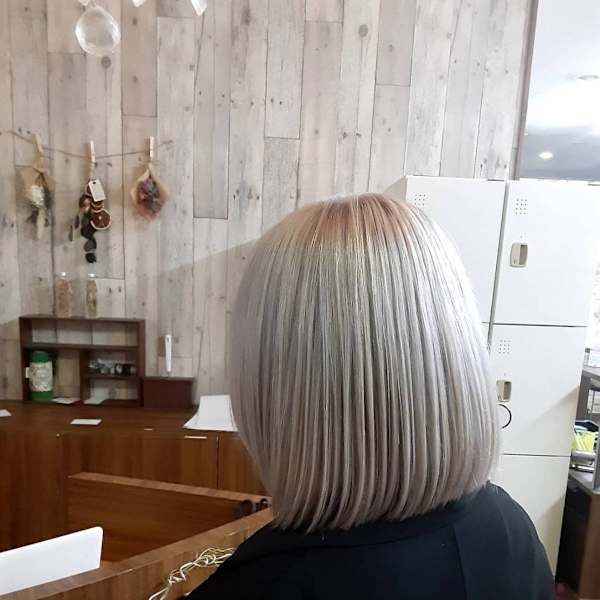 medel×ミディアム|medel