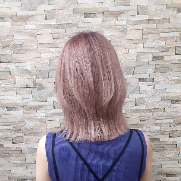 medel×ミディアム|medel