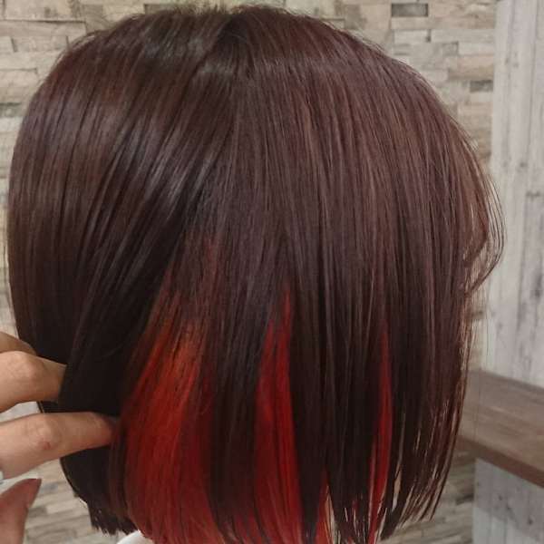 medel×ミディアム|medel