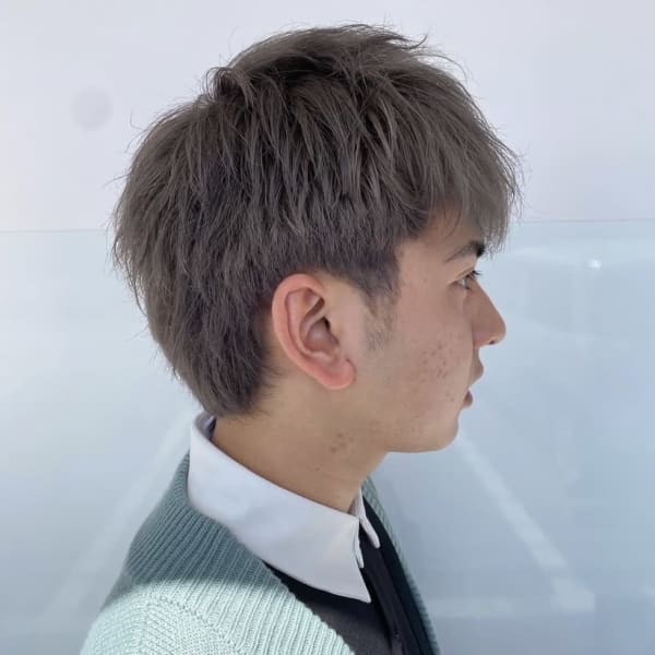 シルバーカラー|Hairsβ