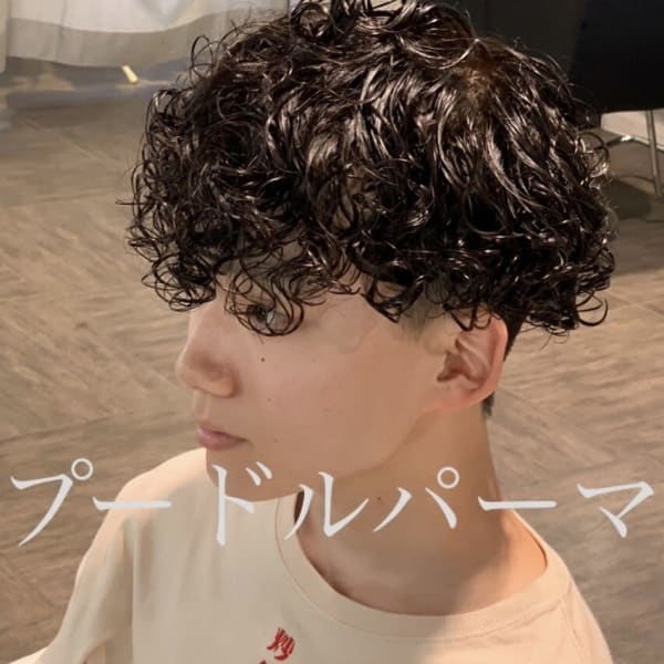 プードルパーマ|MODE K's 調布店