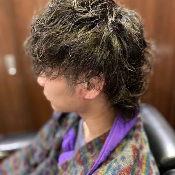 ウルフツイスパ