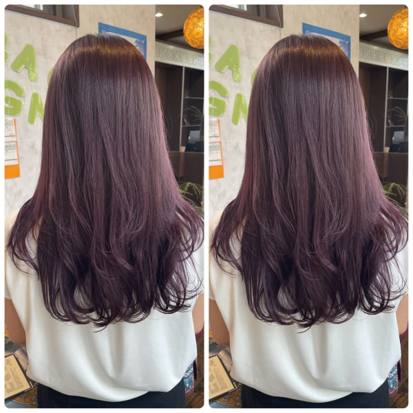 ブリーチなしバイオレット