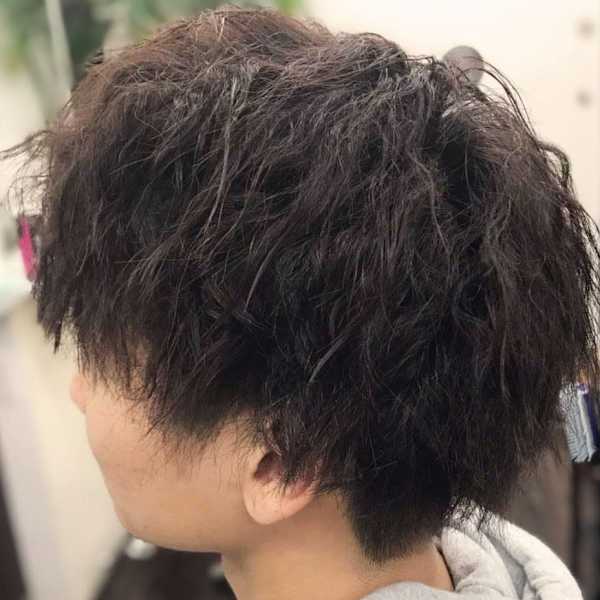 hair place next