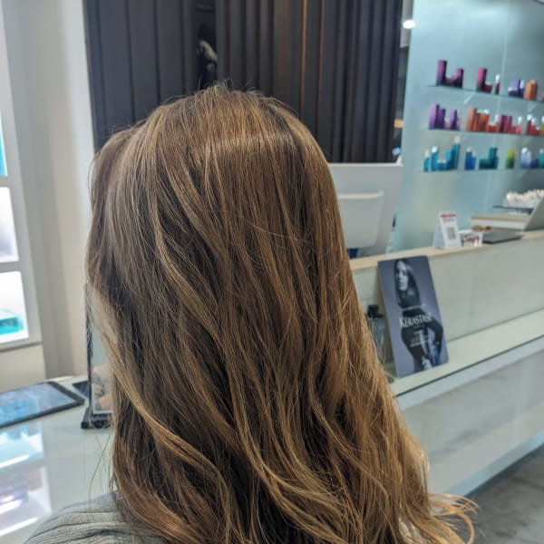 マロンブラウン|AGEE GARDEN 【アージェガーデン】