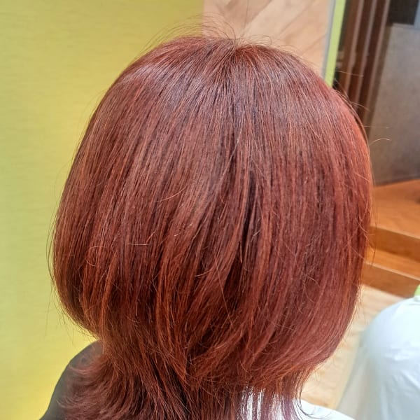 ミディアムウルフレッド